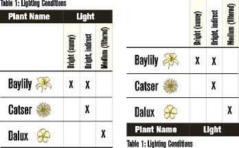 Applying a different format to a table