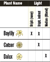 Rotating cells in a table