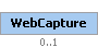 WebCapture Element (Optional, up to 1 element(s) allowed)