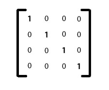 Matriz de identidad