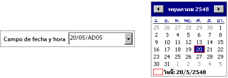 Por ejemplo, el valor de Campo de fecha y hora es 20/05/AD05.