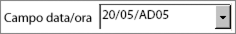 Ad esempio, il valore del Campo data/ora è 20/05/2005.