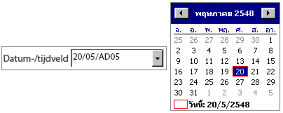 De waarde van het datum-/tijdveld is 20/05/AD05.
