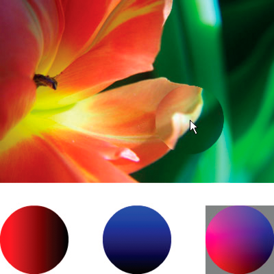 Bild som visar ett fotografi av en blomma där en cirkelformad del under musmarkören har förstorats.