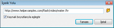 FLVPlayback Bileşen Yolu iletişim kutusu